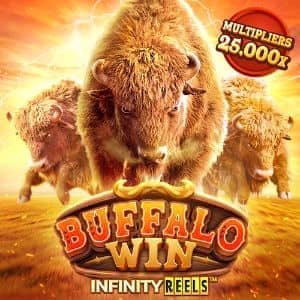 buffalo-win-en